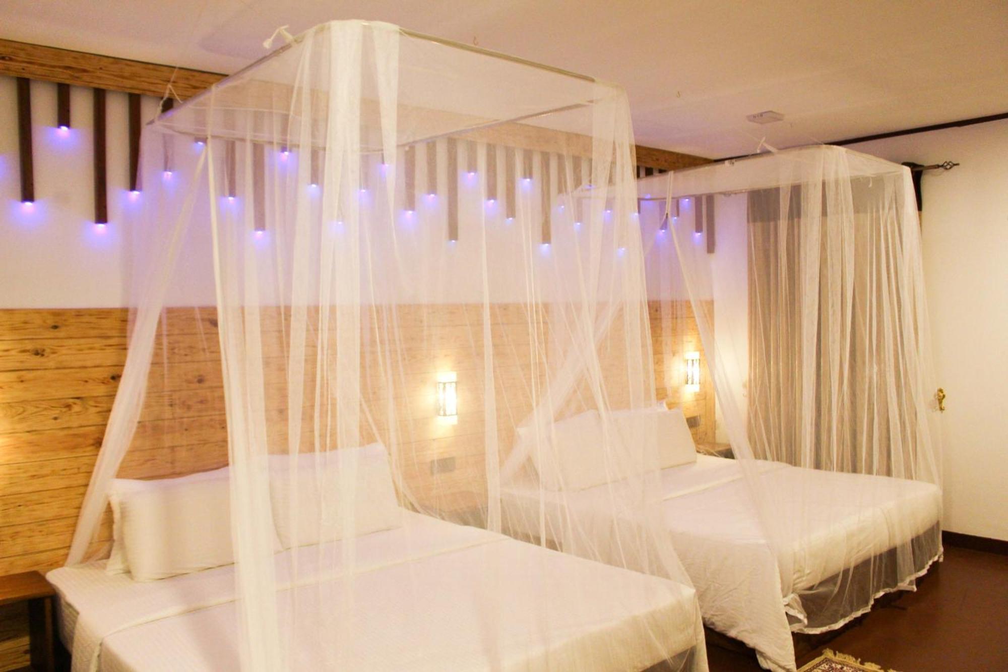 Lavender Homestay Procida Dış mekan fotoğraf