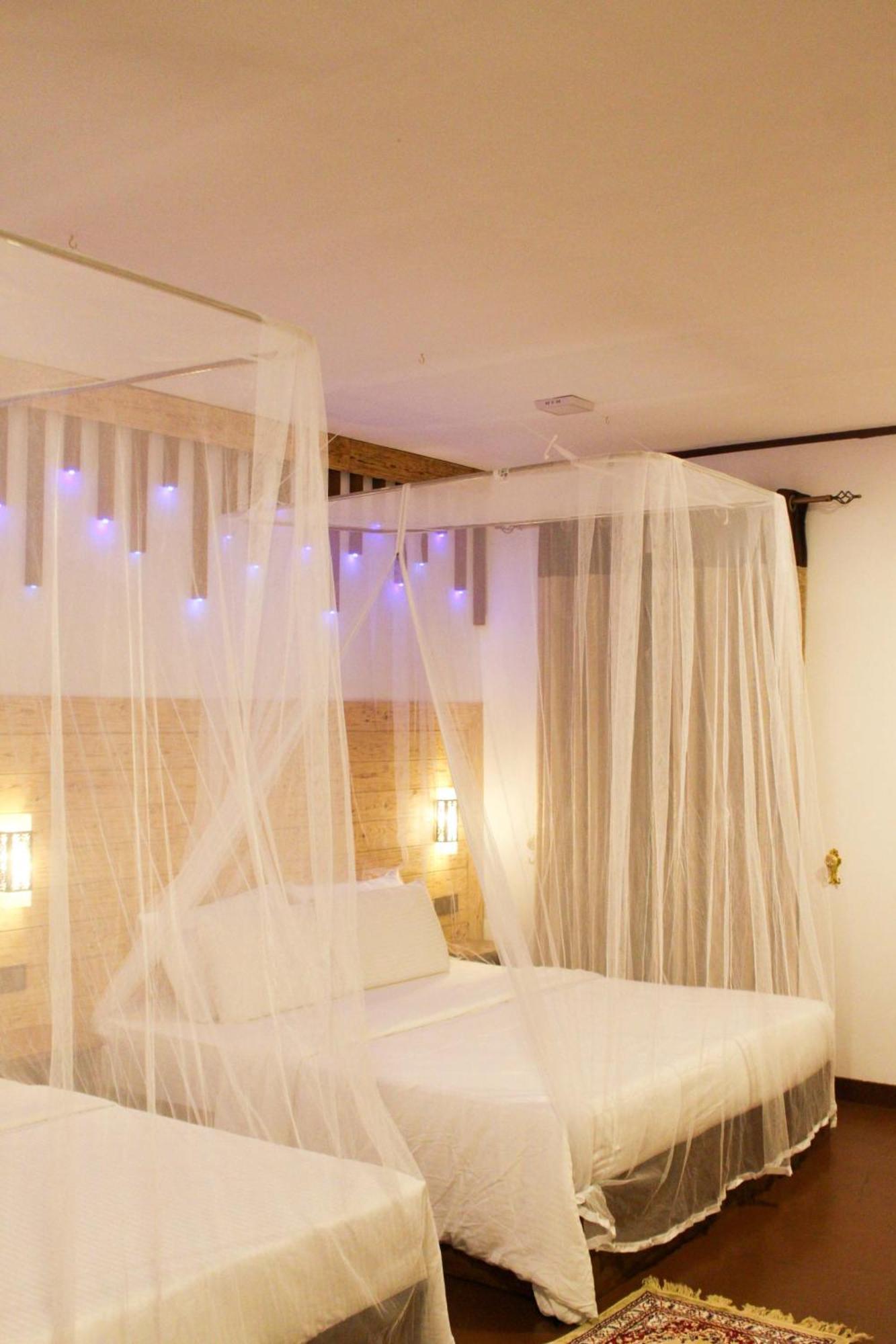 Lavender Homestay Procida Dış mekan fotoğraf